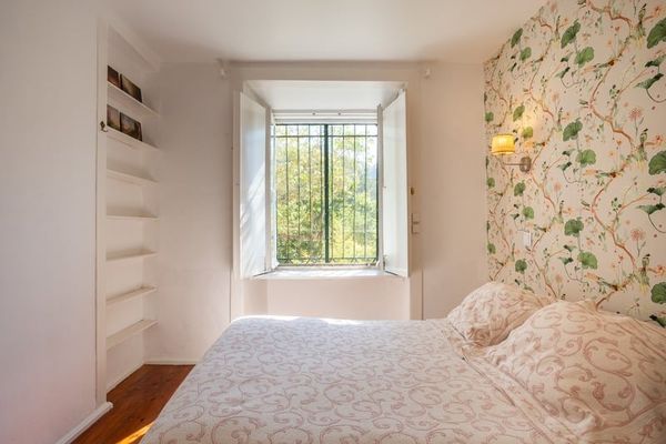 The Birds Room's window, the greenery pressing right up against the glass.